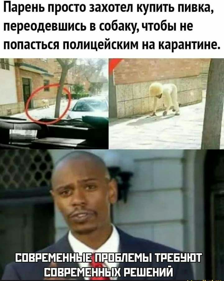 Парень просто захотел купить пивка переодевшись в собаку чтобы не попасться полицейским на карантине А ГПВРЕМЕННЫЕ ПРП гЕЛЕМЫТРЕЕНШТ спврвъЁнь Чьи решений