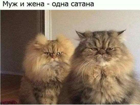 Муж и жена одна сатана