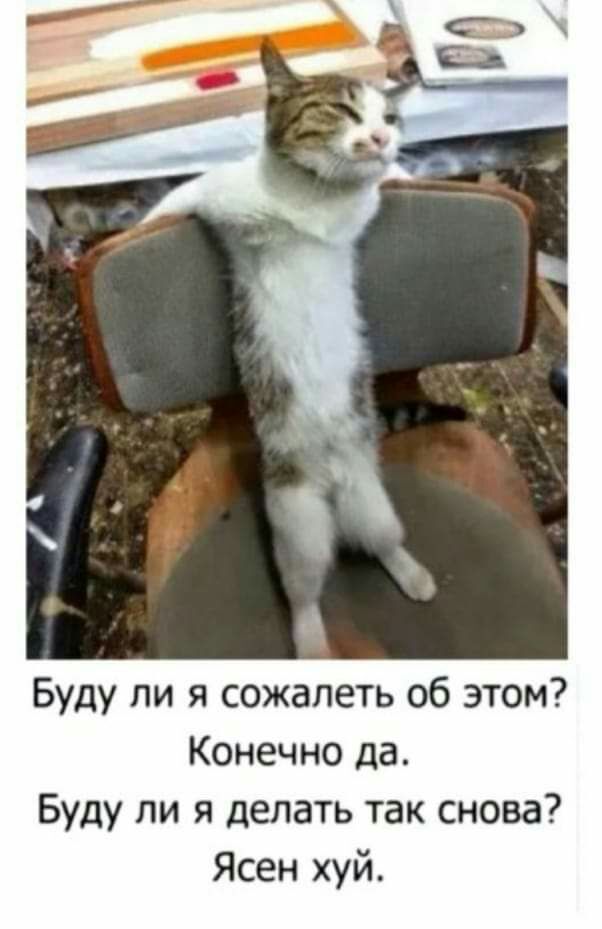 Буду ли я сожалеть об этом Конечно да Буду ли я делать так снова Ясен хуй