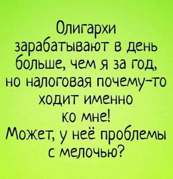 Олигархи зарабатывают в день больше чем я за год но налоговая почемуто ходит именно ко мне Может у неё проблемы с мелочью