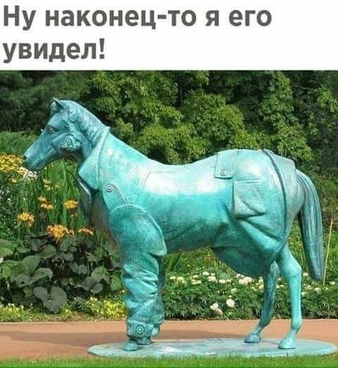Ну наконец то я его увидел