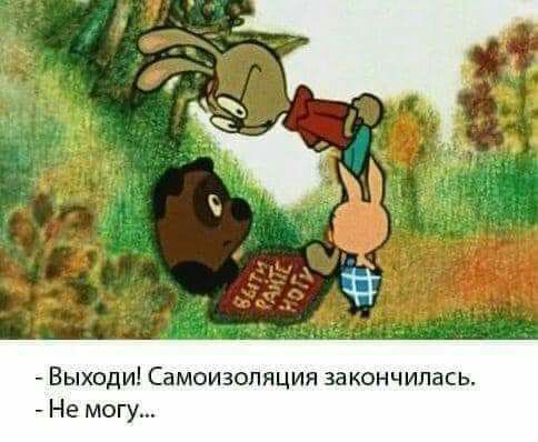 Выходи Самоизопяция закончилась Не могу АЛО И АНАЛИЗЫ