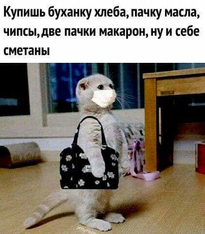 Купишь буханку хлеба пачку масла чипсыдве пачки макарон ну и себе сметаны