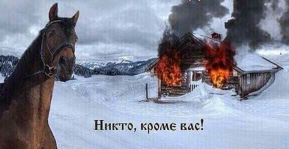 Никто кроме вас