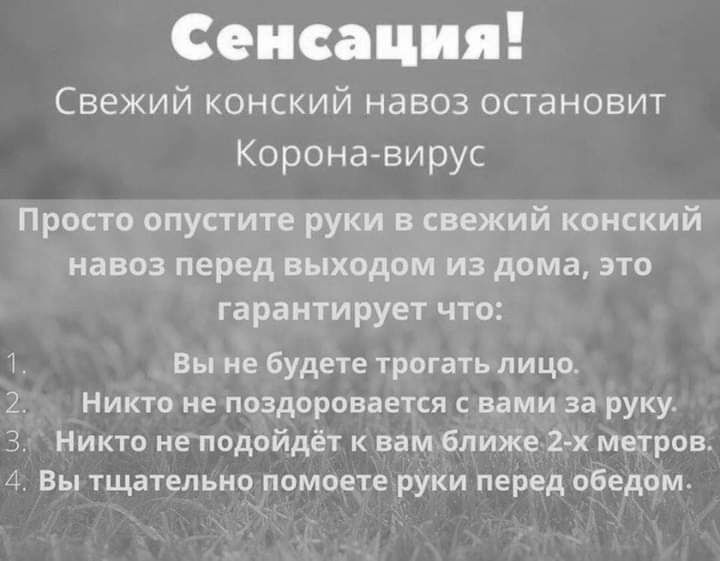 Сенсация Свежий конский навоз остановит Коронавирус Просто опустите руки в свежий конский навоз перед выходом из дома это гарантирует что 1 Вы не будете трогать лицо 2 Никто не поздоровается с вами за руку 3 Никто не подойдёт к вам ближе 2х метров 4 Вы тщательно помоете руки перед обедом