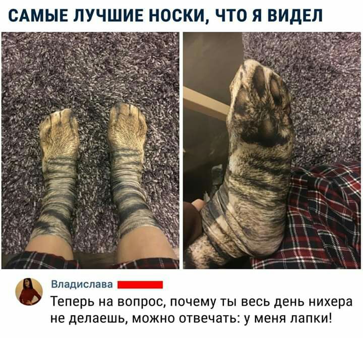 САМЫЕ ЛУЧШИЕ НОСКИ ЧТО Я ВИДЕЛ Владислава _ Теперь на вопрос почему ты весь день нихера не делаешь МОЖНО ОТВЕЧЗТЬС У МЕНЯ ЛЗПКИ