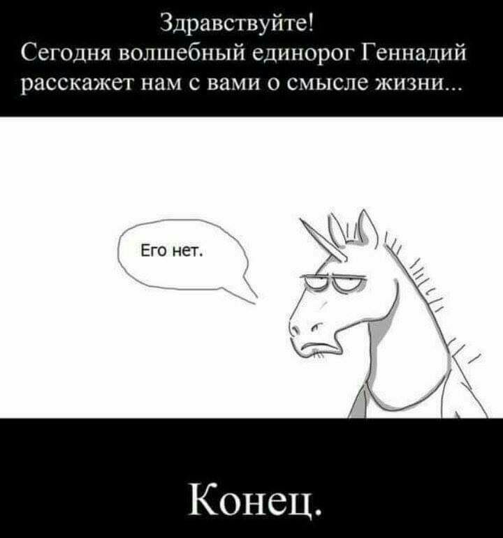 Здравствуйте Сегодня волшебный единорог Геннадий расскажет нам с вами о смысле жизни