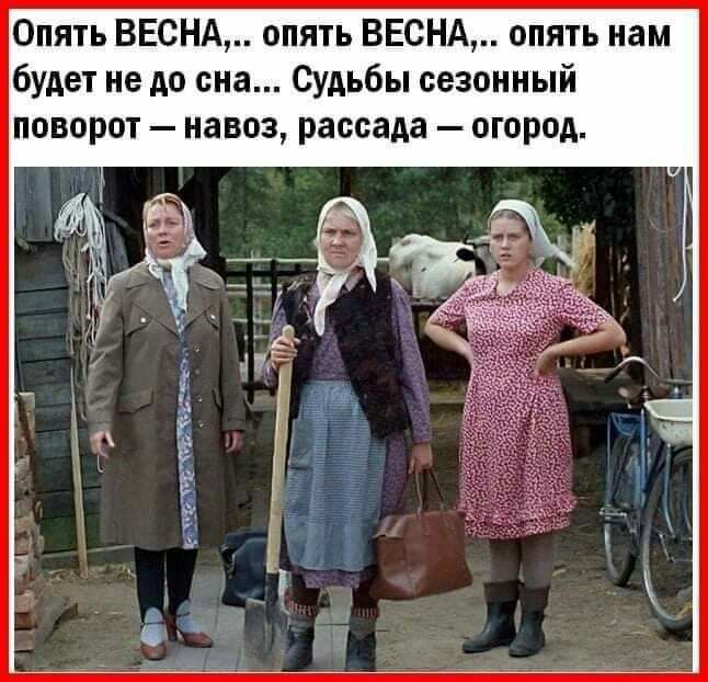 Опять ВЕСНА опять ВЕСНА опять нам будет не до сна Судьбы сезонный поворот навоз рассада огород