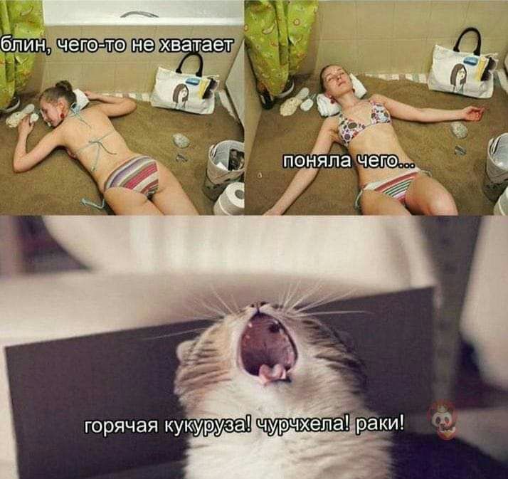 горячая кукуруза чурчхелараки 9