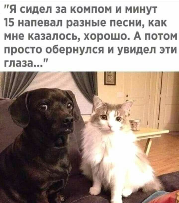 Я сидел за компом и минут 15 напевал разные песни как мне казалось хорошо А потом просто обернулся и увидел эти глаза