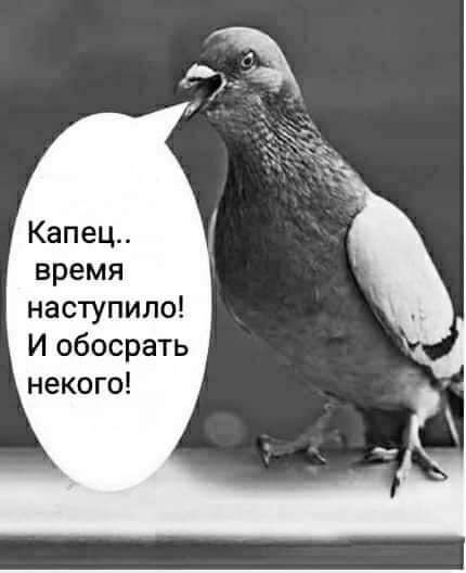 Капец время наступило И обосрать некого