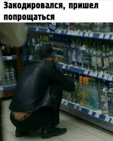 ЗПИОДИПОВЗЛЕЯ ПРИШЕЛ ПОПВОЩЗТЬЕЯ _ _ ЁП яіэтгтт