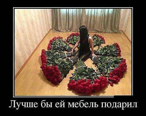 Лучше бы ей мебель подарил