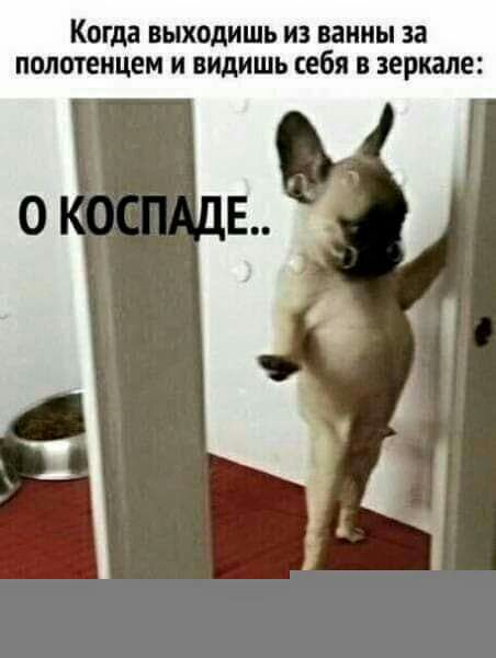 Когда выходишь из ванны за полотенцем и видишь себя в зеркале