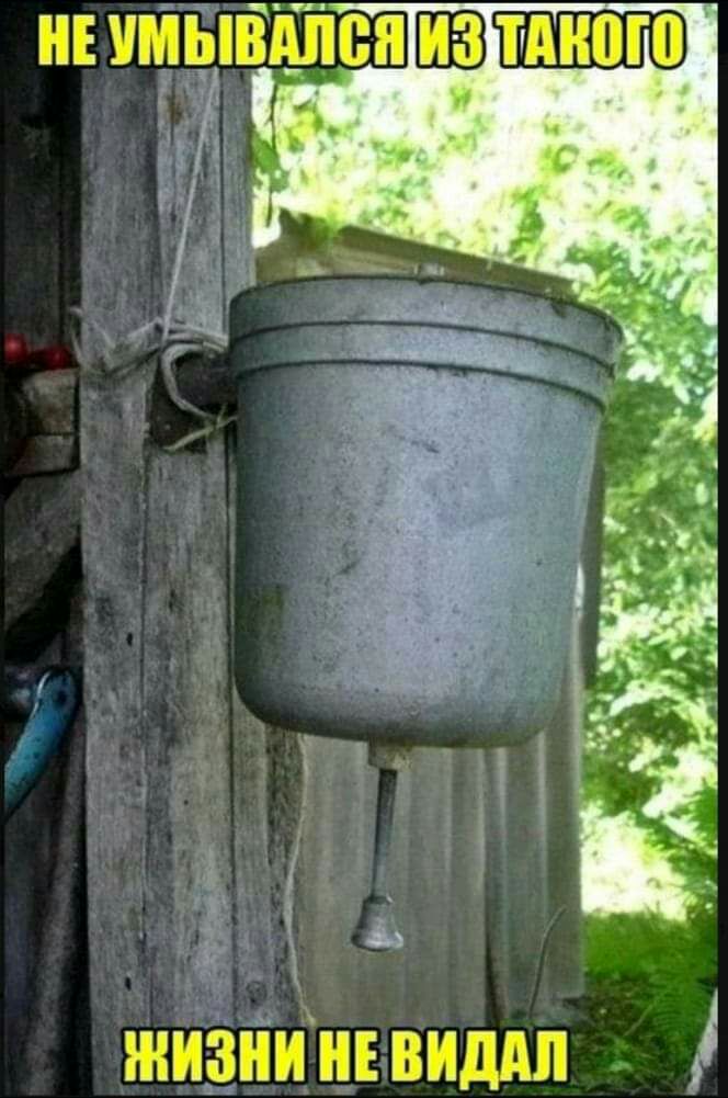 жизнинъ виддп і