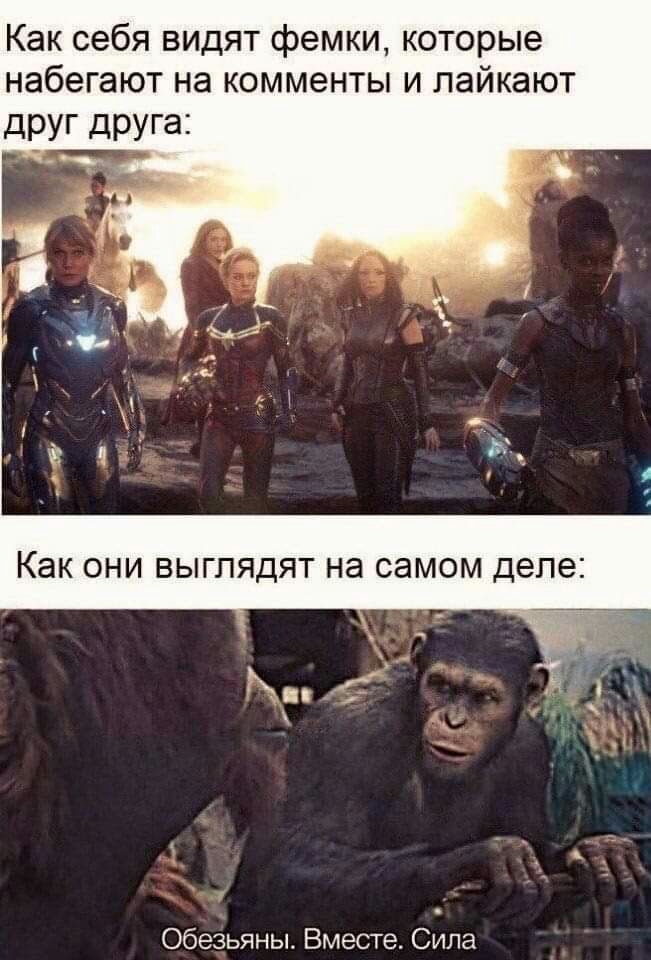 Как себя видят фемки которые набегают на комменты и лайкают друг друга _ Обезьяны Вместе Сила