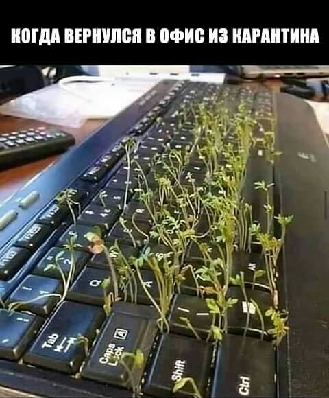 ЮГд ВЕРШШШ В ШШШ ИЗ ишитиид