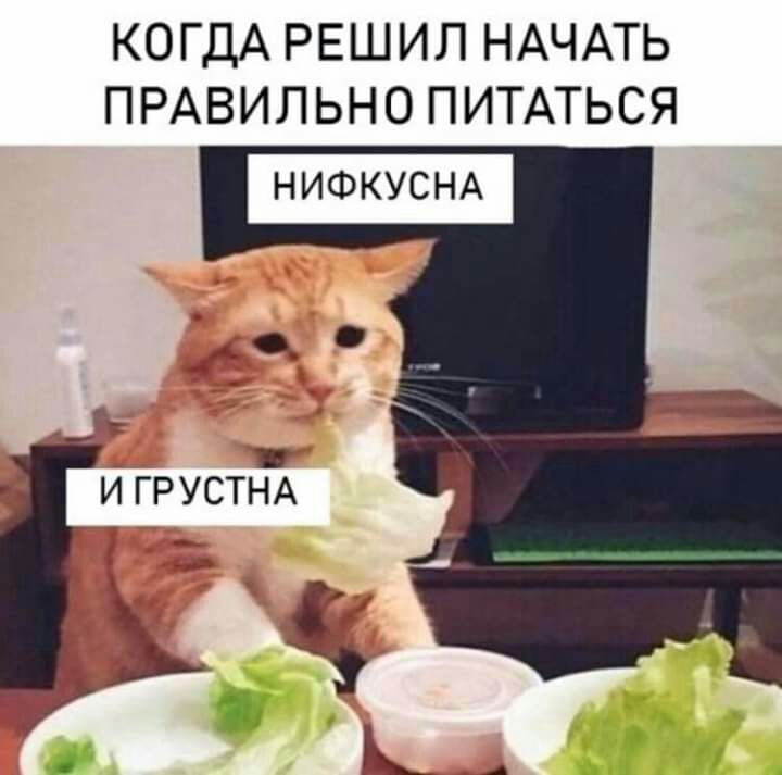 КОГДА РЕШИЛ НАЧАТЬ ПРАВИЛЬНО ПИТАТЬСЯ НИФКУСНА ИГРУСТНА к