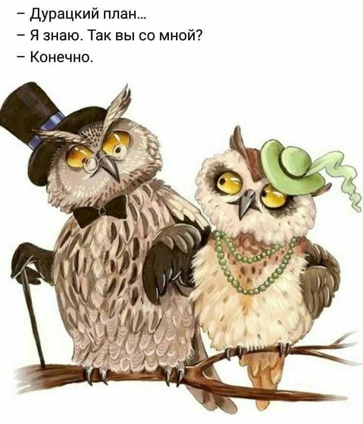 Дурацкий план Я знаю Так вы со мной Конечно