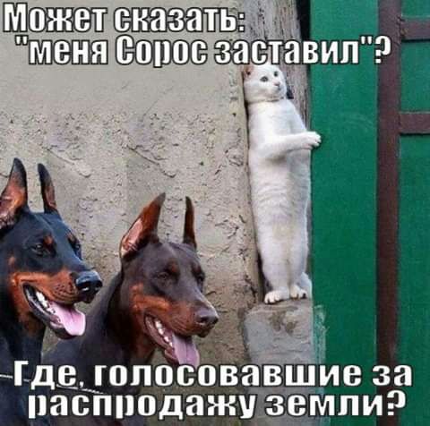 де гопёовавшие за паспподажу зёмпи