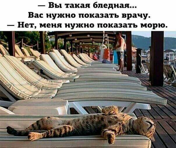 Вы такая бледная Вас нужно показать врачу Нет меня нужно показать морю