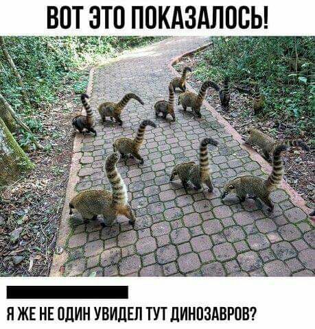 вот это пцкдздлосы Я ЖЕ НЕ ОДИН УВИДЕЛ ТУТ ДИНПЗАВРПВ