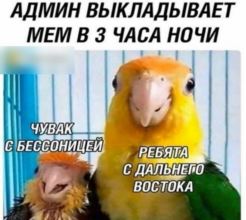 АДМИН ВЫКЛАДЫВАЕ Т МЕМ В 3 ЧАСА НОЧИ ь 4 А