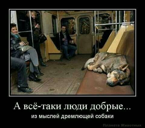 А всётаки люди добрые из мыслей дремпющей ообнки