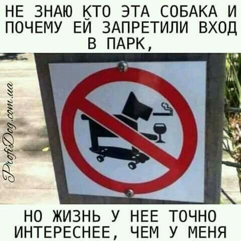 НЕ ЗНАЮ КТО ЭТА СОБАКА И ПОЧЕМУ ЕИ ЗАПРЕТИЛИ ВХОД В ПАРК ёсрп аа НО ЖИЗНЬ У НЕЕ ТОЧНО ИНТЕРЕСНЕЕ ЧЕМ У МЕНЯ