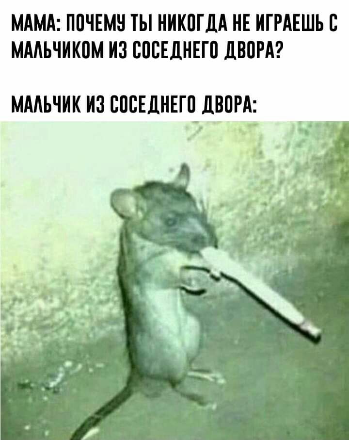 МАМА ППЧЕМН ТЫ НИКПГДА НЕ ИГРАЕШЬ В МААЪЧИКПМ ИЗ ППВЕДНЕГП дВПРА МААЪЧИК ИЗ БПЕЕДНЕГЧДВПРА