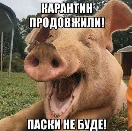 тмин пгодцвжипи _ Эі писниШпицы