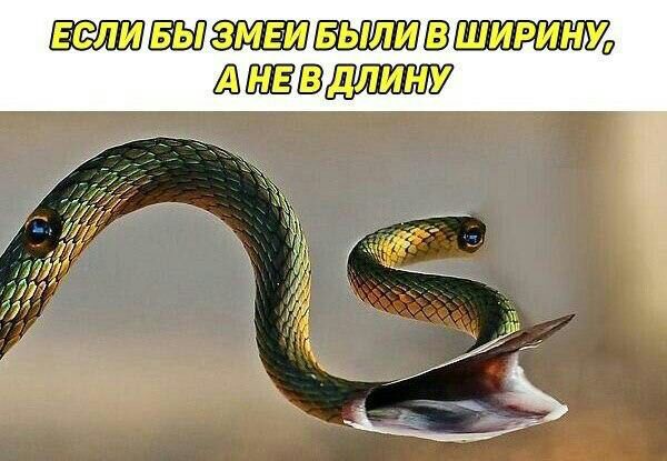 ЕШЕЮЩШШУ