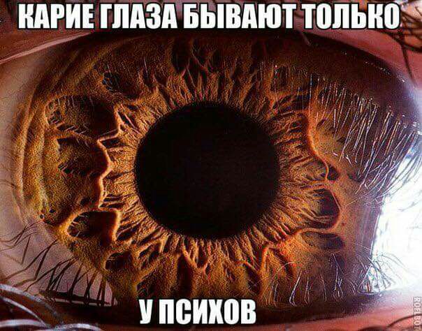 ПАРИ ШПЗШБЫВПЮТ толъко