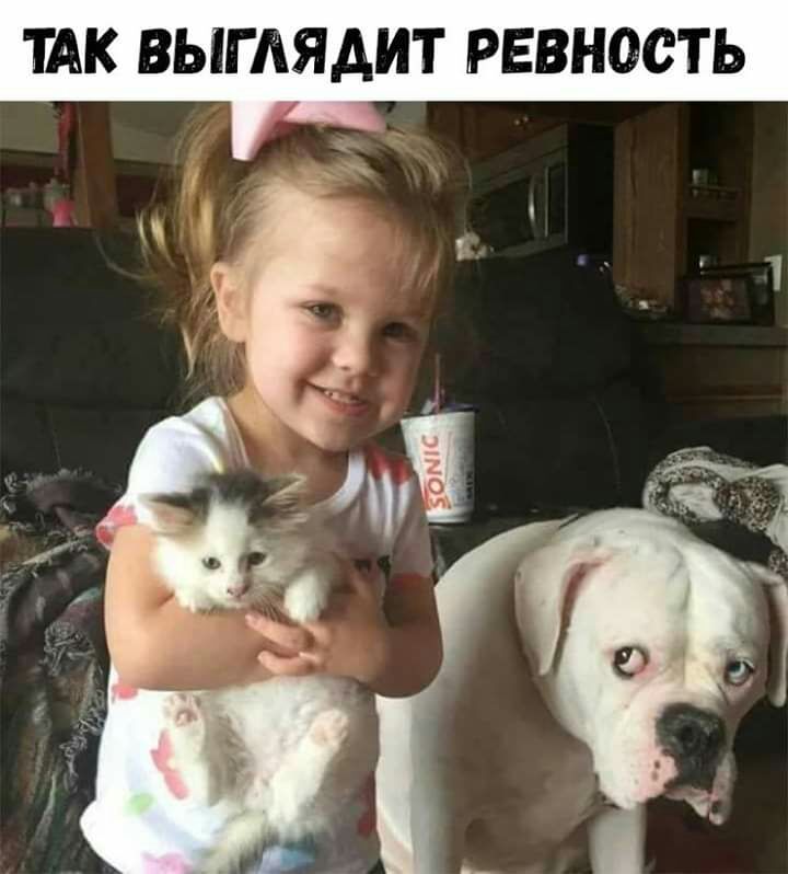 ТАК ВЫГАЯАИТ РЕВНОСТЬ