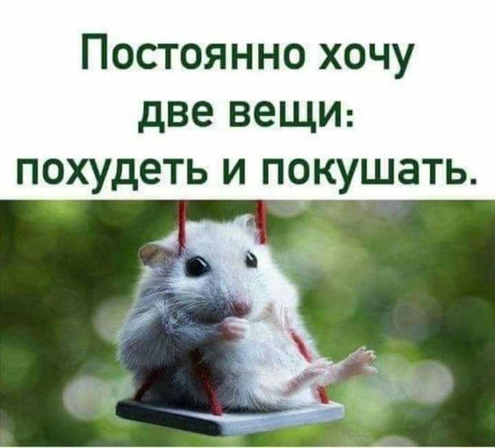 Постоянно хочу две вещи похудеть и покушать