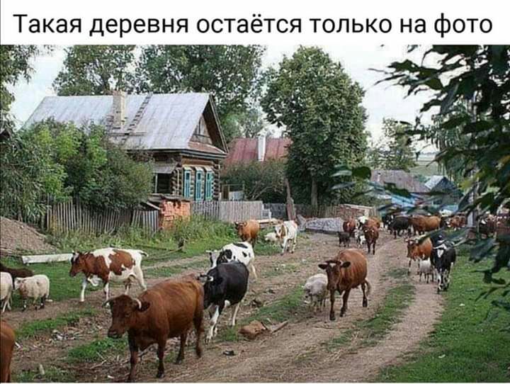 Такая деревня остаётся только на фото