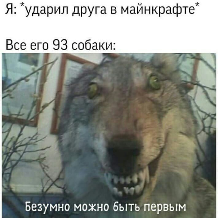 Я ударил друга в майнкрафте Все его 93 собаки Безумно можно быть первым
