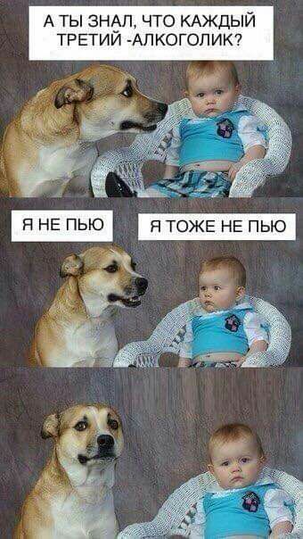 А ты зндп что КАЖДЫЙ третии Алкоголик