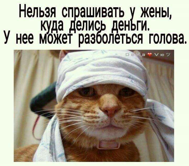 Нельзя сп ашивать жены дуда елис ден ги У нее ожет раз олеться голова