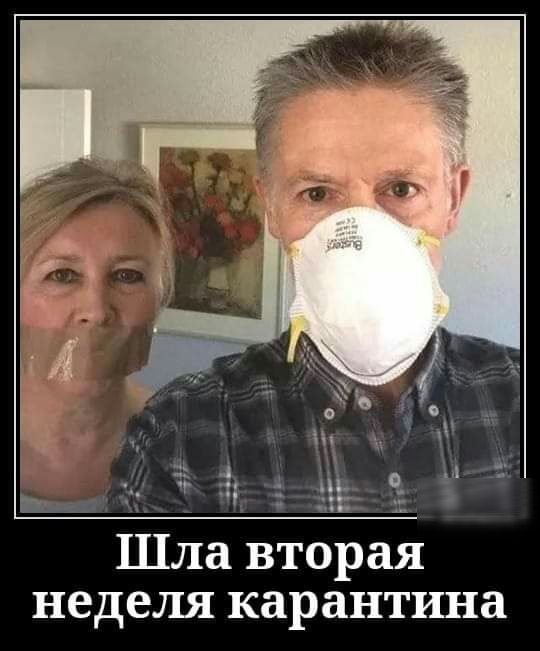 Шла вторая неделя карантина