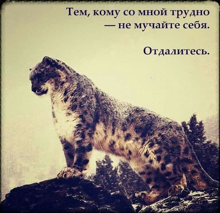 Тем кому со мной трудно не мучайте себя Отдалитесь