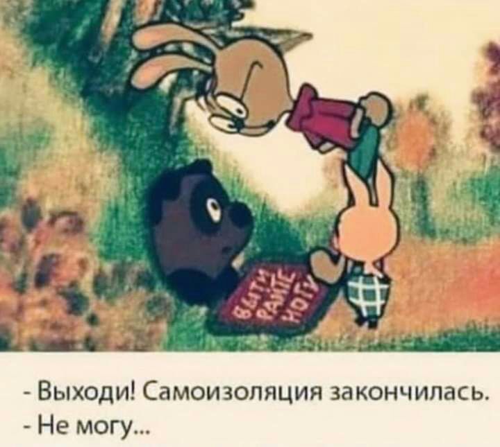 Выходи Самоизоляция закончилась Не могу