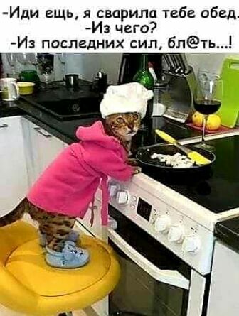 Иди гщь я сварили тибе обед И чего Из последних сил блть