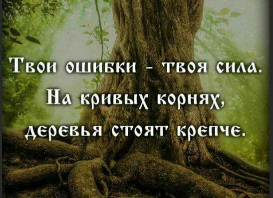деревья СТОЯГ крепче