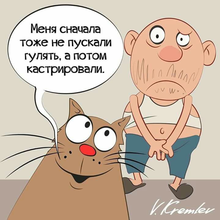 гулять а потом кастрировапи