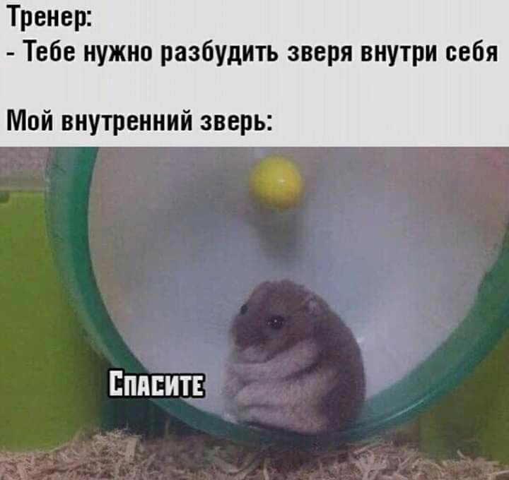 Тренер Тебе нужно разбудить зверя внутри себя Мой внутренний зверь Епипитг