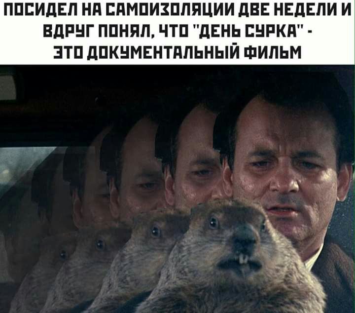 ПППИДЕП Нд ЕПМПИЗПППЦИИ дВЕ НЕДЕЛИ И ВдРНГ ППНЯП ЧТП дЕНЬ СНРКП ЭТП дПКНМЕНТдПЬНЫЙ ФИЛЬМ