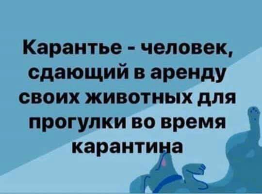 Карантье человек сдающий в аренду своих животных для прогулки во время каранти а