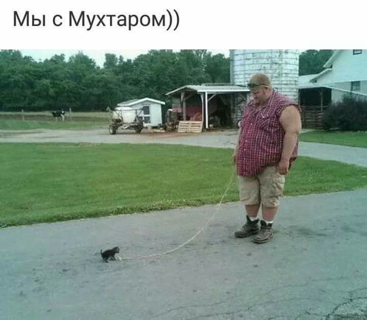 Мы с Мухтаром