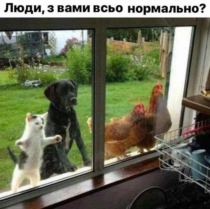 Люди 3 вами всьо нормально